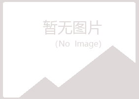 广东夏日化学有限公司